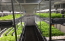 植物工場 ICT AI iot 次世代スマート農業システム