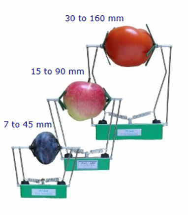 円形果実生長測定センサー|セネコム