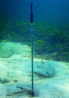 海底浸食計-セネコム
