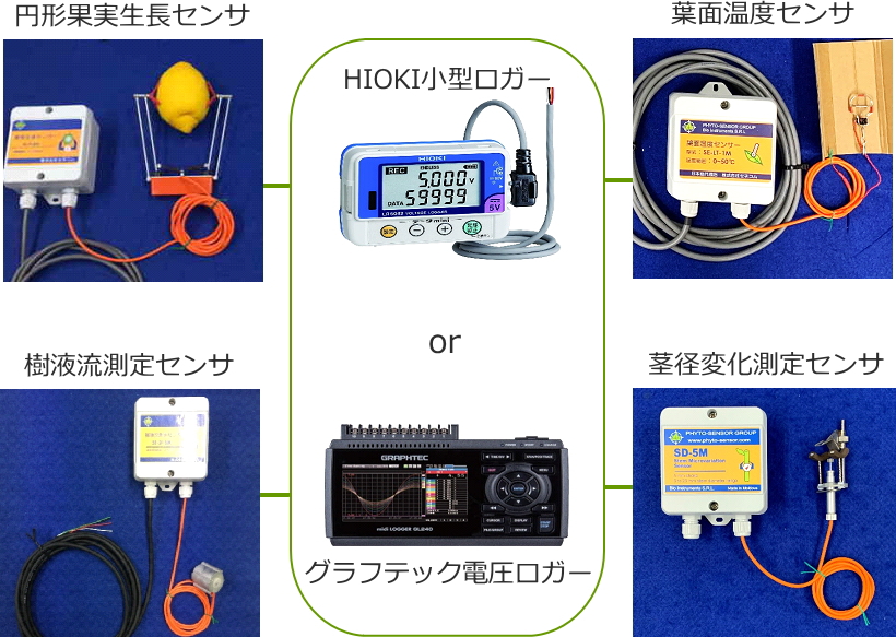 植物センサ簡易計測システム-PhytoSensor-セネコム