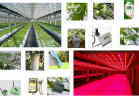 次世代農業植物工場システム-セネコム