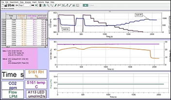 QubitSystem_ジニアの葉の光応答曲線-セネコム日本総代理店